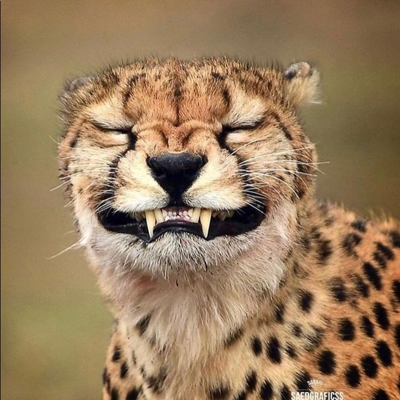 Meet your Posher, Teresa - Picture 13 of 16